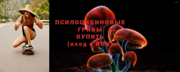 прущий лед Алексеевка