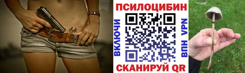где купить   Тогучин  Псилоцибиновые грибы Psilocybe 